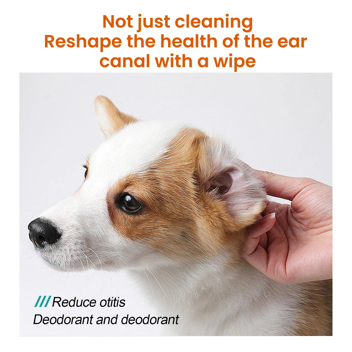 60PCS Pet Ear Cleaning Wipes Gentle Remove Earwax Reduce Ear Stains Eliminate Bad Odor Mite Removal Non-irritating Pet Ear Wet Tissues for Cats & Dogs