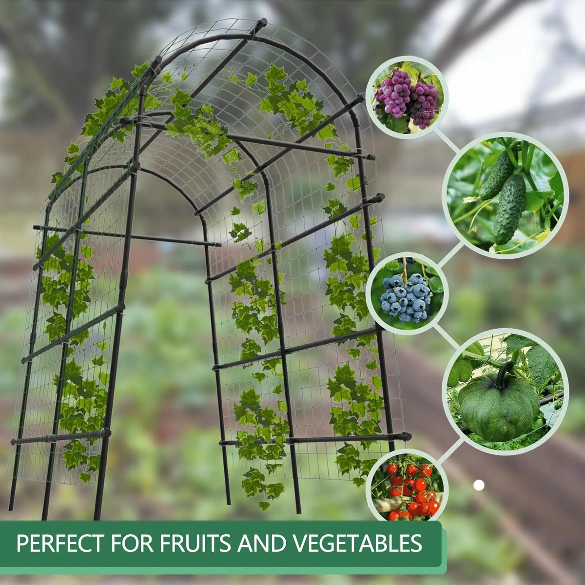 7.5FT Metal Garden Arch Trellis with Netting, Adjustable 35"–45" Wide Weatherproof Steel Arbor for Climbing Vegetables, Grapes & Roses, Fold-Out Plant Pergola with Ground Clips, Easy DIY Assembly