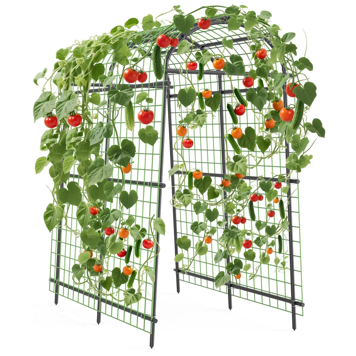 7.5FT Metal Garden Arch Trellis with Netting, Adjustable 35"–45" Wide Weatherproof Steel Arbor for Climbing Vegetables, Grapes & Roses, Fold-Out Plant Pergola with Ground Clips, Easy DIY Assembly