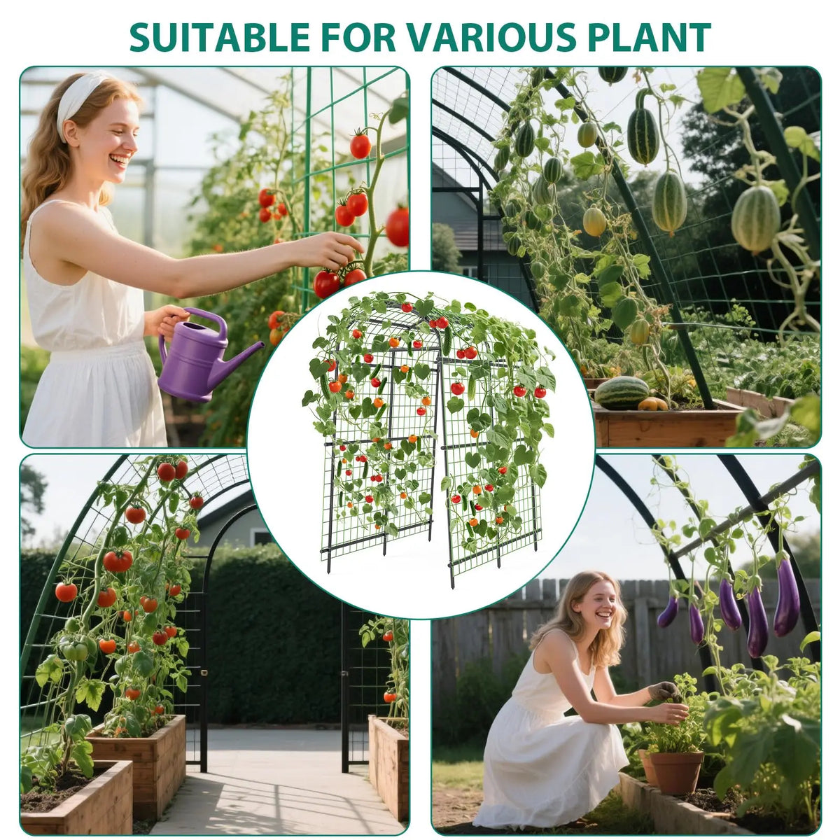 7.5FT Metal Garden Arch Trellis with Netting, Adjustable 35"–45" Wide Weatherproof Steel Arbor for Climbing Vegetables, Grapes & Roses, Fold-Out Plant Pergola with Ground Clips, Easy DIY Assembly