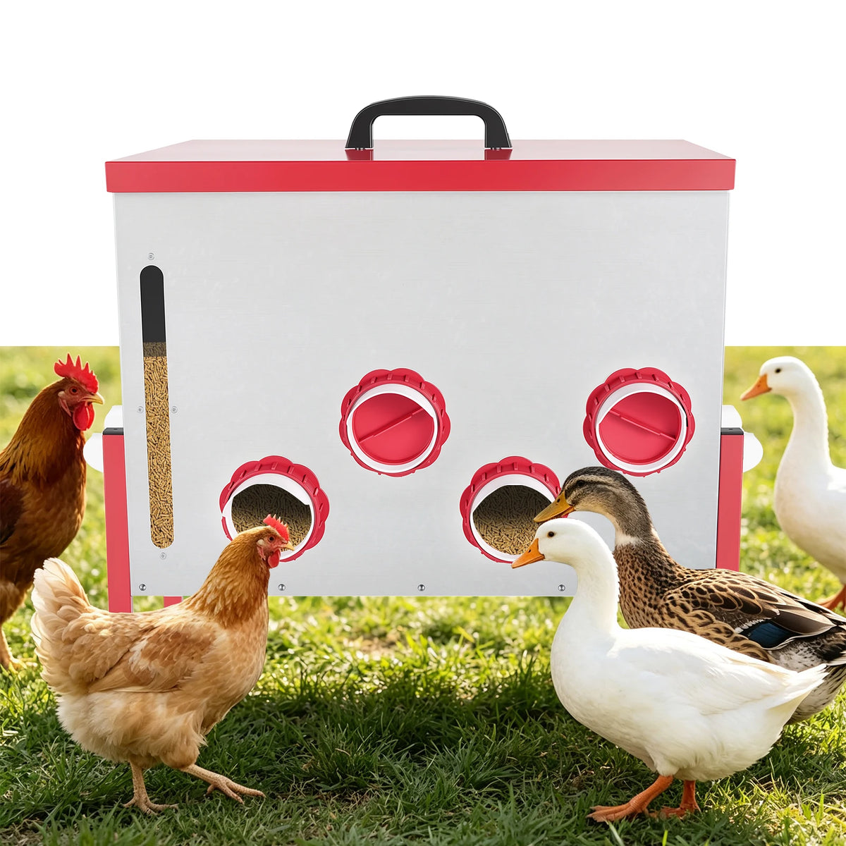 Automatic Rodent Proof Poultry Feeder With Viewing Window And Lid