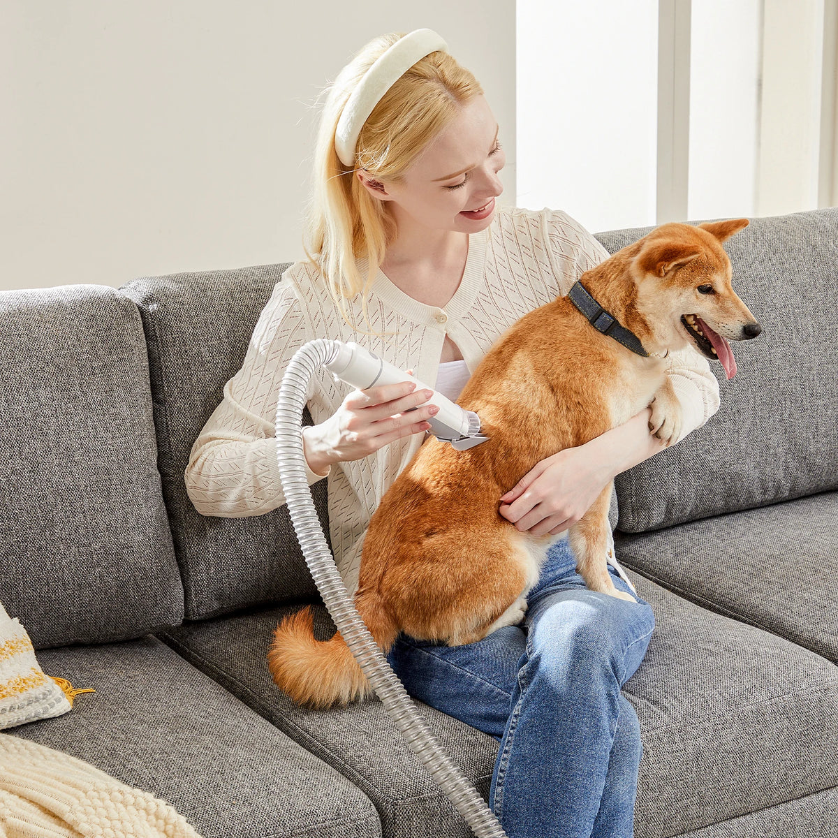 Professional Cordless Pet Grooming Vacuum Kit Low Noise Dog Clippers