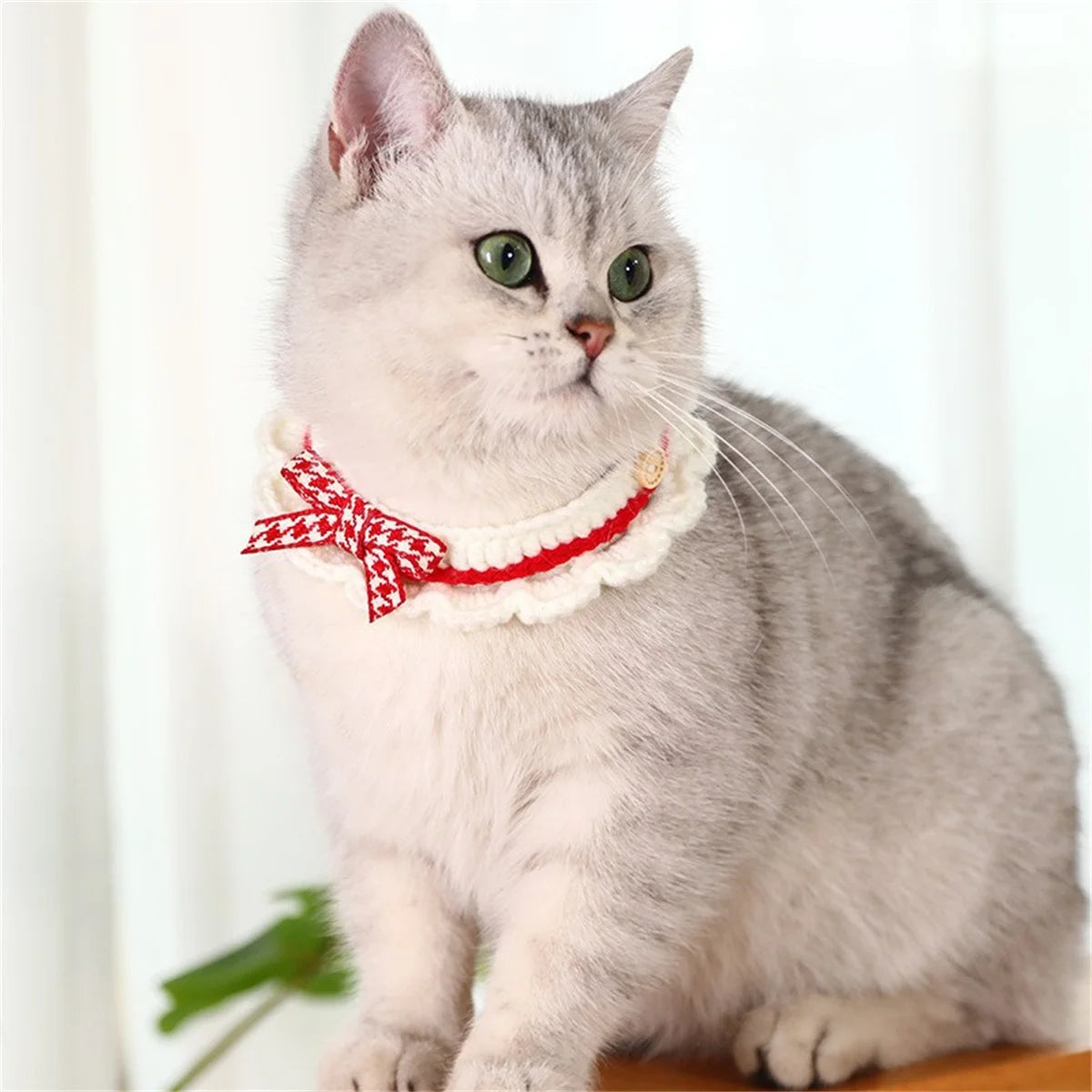 Hand-Knitted Adjustable Pet Collar With Lace Bowknot Soft Drool Pad