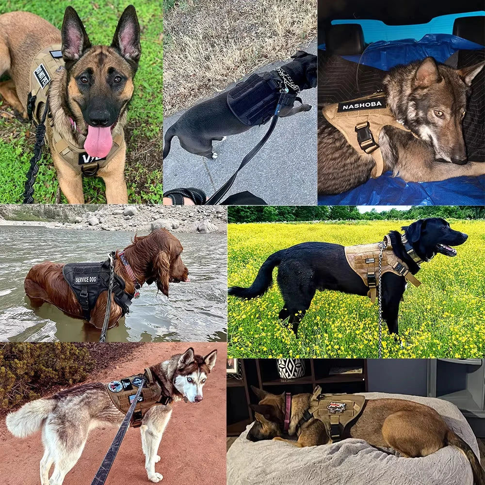 Adjustable Nylon Tactical Dog Harness Collar Leash Training Set