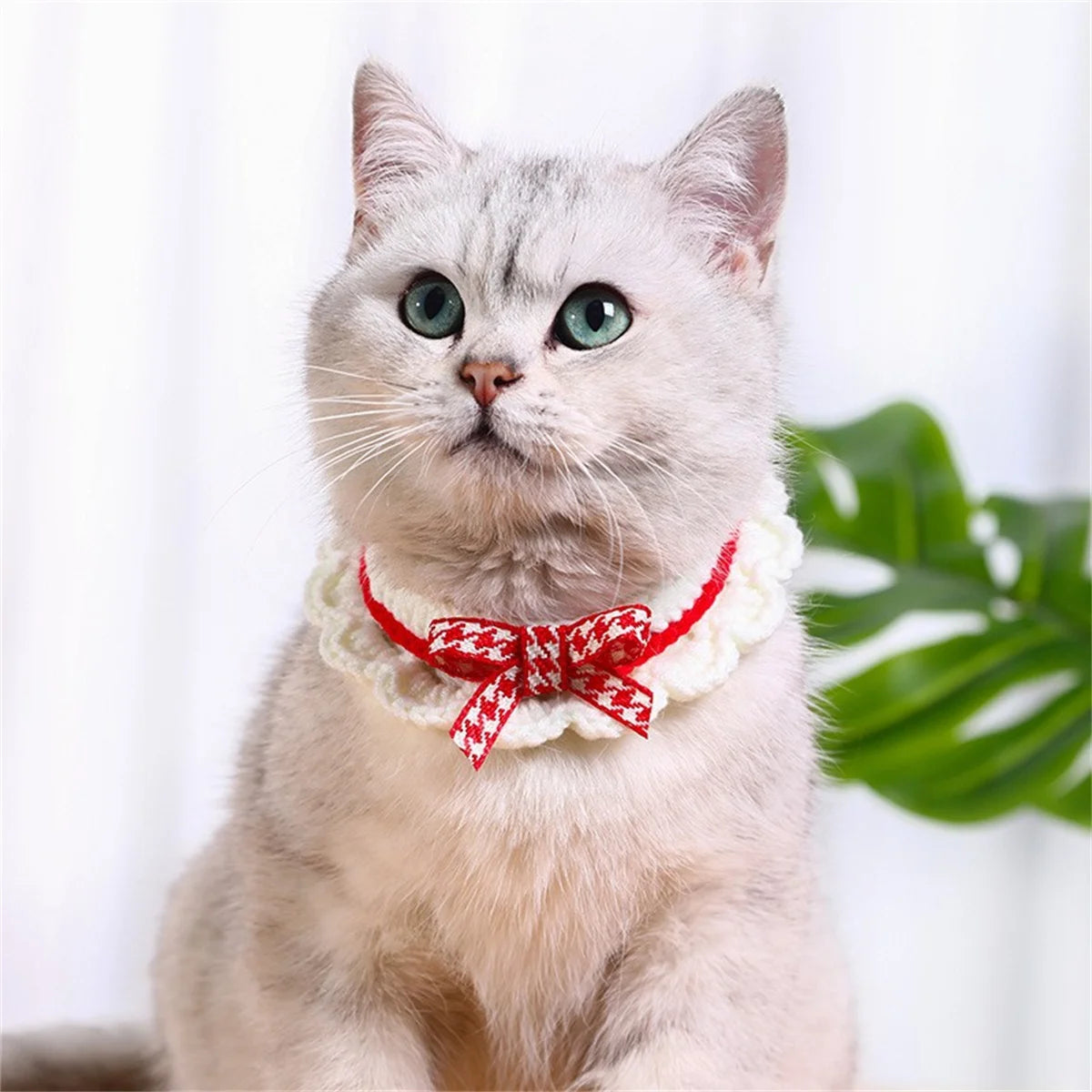 Hand-Knitted Adjustable Pet Collar With Lace Bowknot Soft Drool Pad